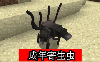 我的世界籽岷畸变100天